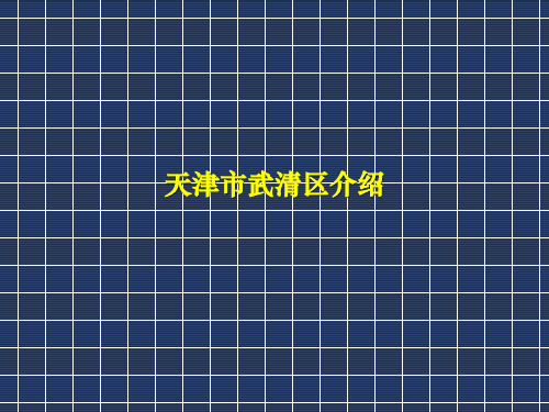 武清区介绍