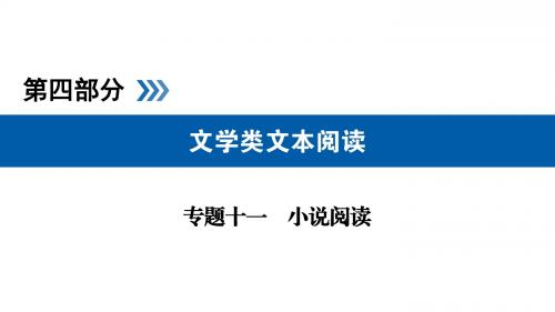 2019版高考语文大一轮优选(备、考、练)全国通用版课件：专题11+小说阅读