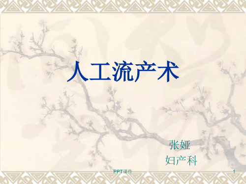 人工流产术  ppt课件