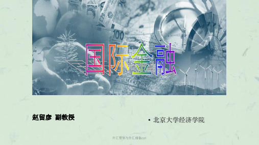 外汇管制与外汇储备ppt课件