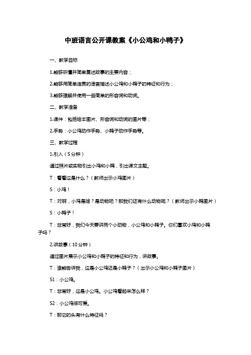 中班语言公开课教案《小公鸡和小鸭子》