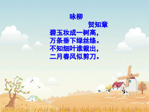 《窗前的树》优质课课件