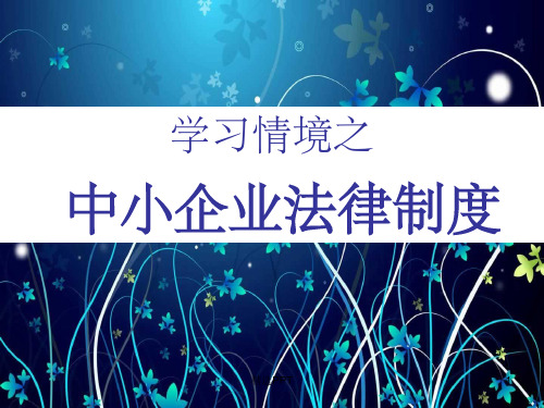 《中小企业法》PPT课件