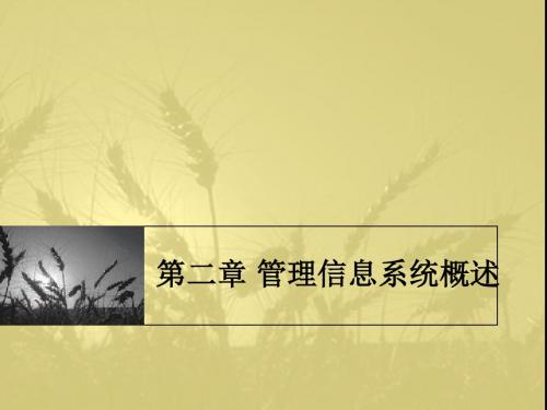 二章管理信息系统概述