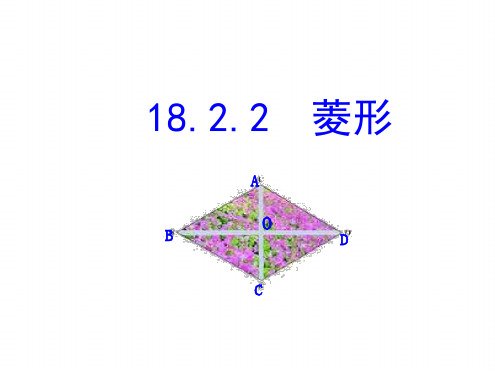 人教版八年级下册数学 1822菱形课件共40张