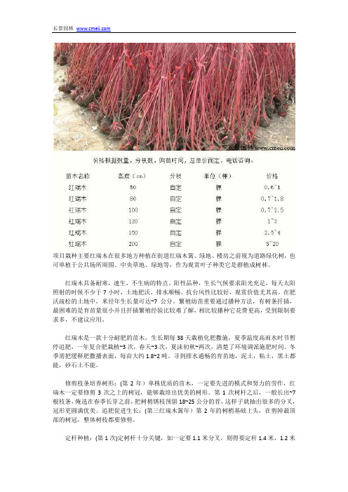 红瑞木篱