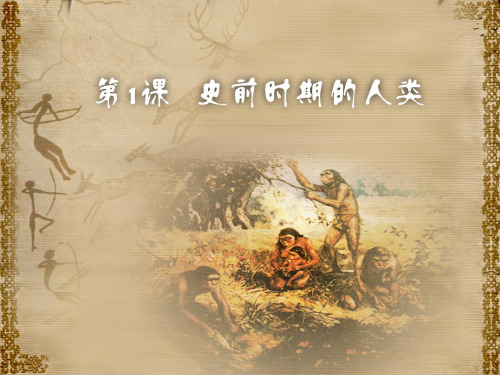 史前时期的人类PPT课件