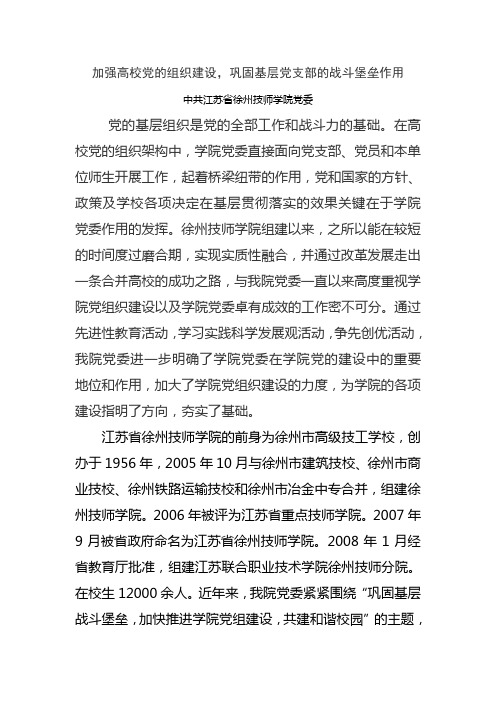 加强高校党的组织建设,巩固基层党支部的战斗堡垒作用