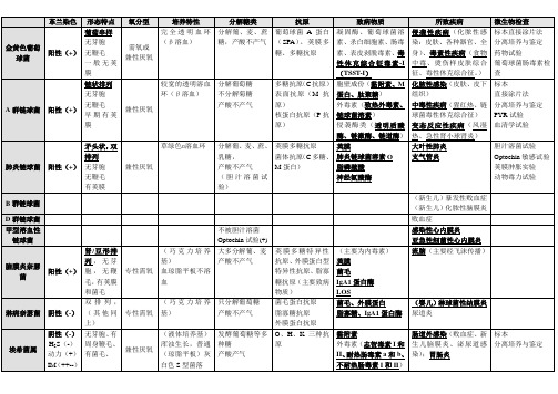各种细菌比较(一)