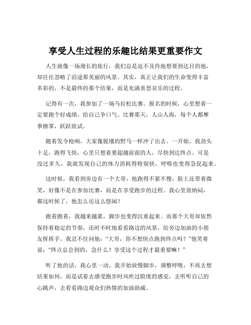 享受人生过程的乐趣比结果更重要作文