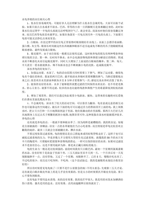 关于水龟的一些小知识