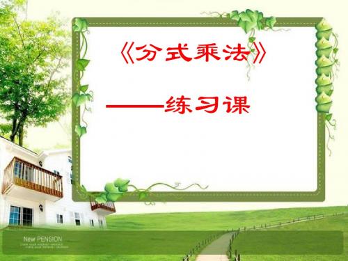 分数乘法练习课