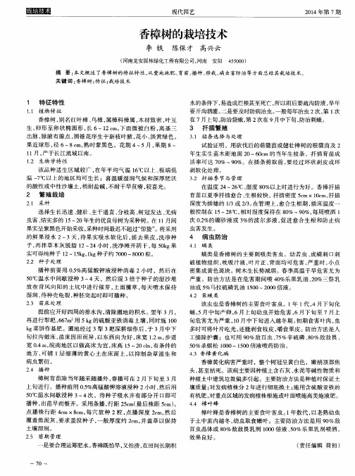 香樟树的栽培技术