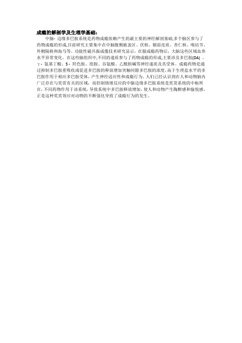 成瘾的解剖学及生理学基础