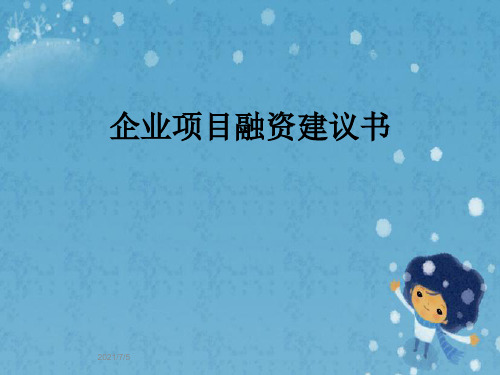 企业项目融资建议书