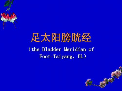 足太阳膀胱经腧穴PPT精品医学课件