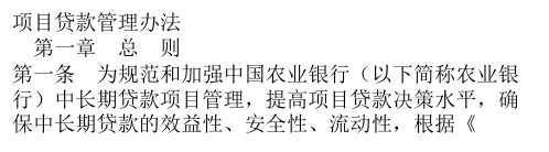 项目贷款管理办法