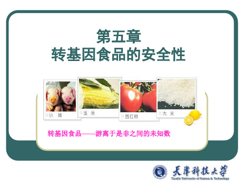 5转基因食品的安全性 PPT课件