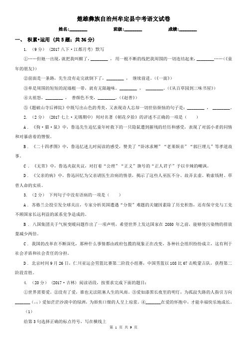 楚雄彝族自治州牟定县中考语文试卷