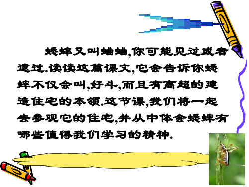 7蟋蟀的住宅20页PPT