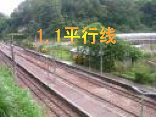 浙教版七年级下1.1平行线课件4