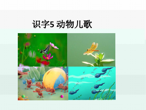 最新2021年部编版一年级语文下册 识字5 动物儿歌 公开课课件
