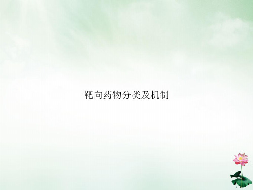 靶向药物分类及机制PPT