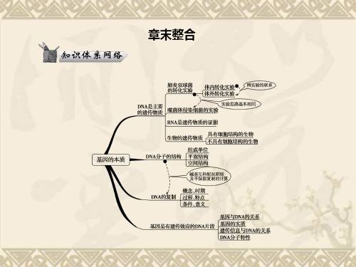 高考生物人教版二轮复习课件2-3-2章末整合