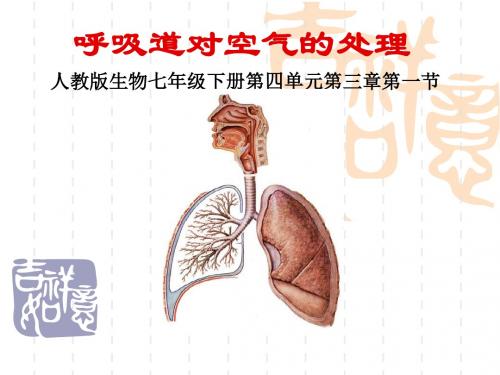 全国青年教师素养大赛一等奖课件说课：呼吸道对空气的处理