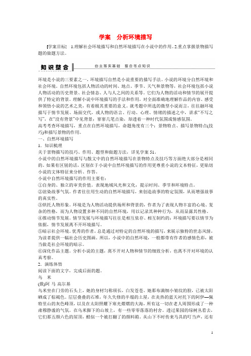 高考语文大一轮总复习 文学类文本阅读 分析环境描写学案