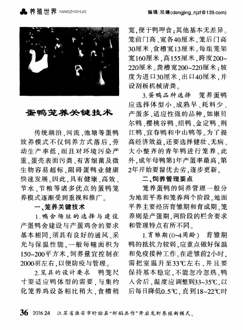 蛋鸭笼养关键技术
