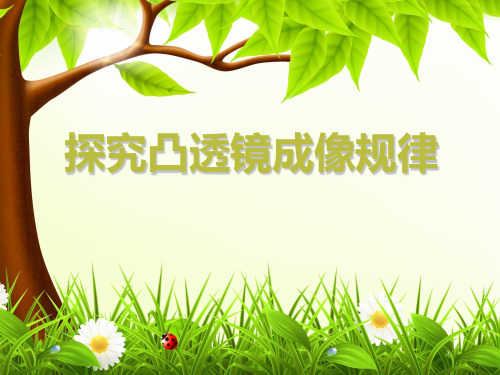 沪粤物理八年级上册第三章  6. 探究凸透镜成像规律  课件(共20张PPT)