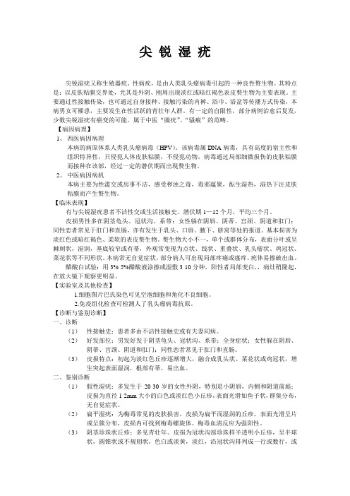 尖锐湿疣讲义