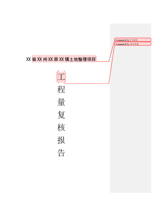 土地整理项目工程量复核报告