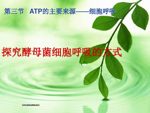 探究酵母菌细胞呼吸的方式ppt课件