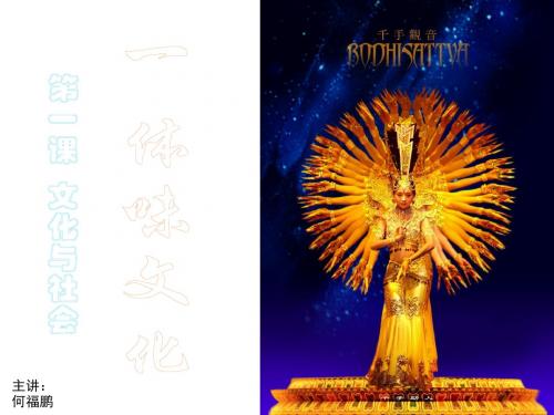 人教版高中思想政治文化生活第一课体味文化ppt课件[1]汇编