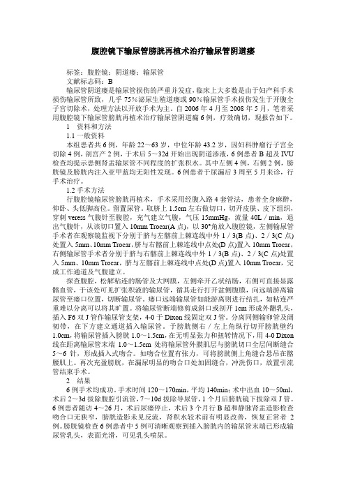腹腔镜下输尿管膀胱再植术治疗输尿管阴道瘘