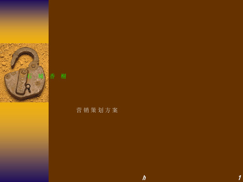 AKK石城香榭营策销 划方案【策划精品