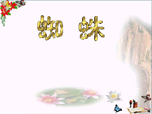 (精选)六年级语文下册《蜘蛛》 优秀课件2长春版