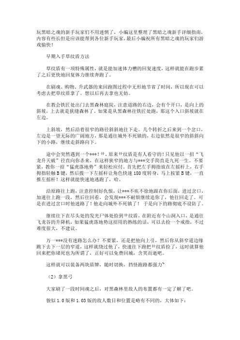 黑暗之魂超详细攻略(附图) 下
