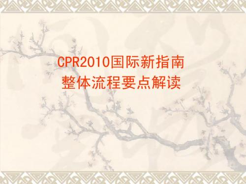 2010心肺复苏指南2012.3