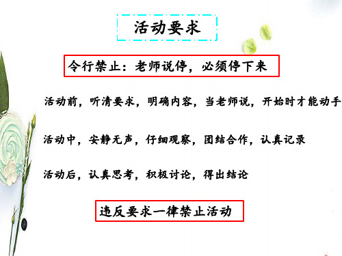 人教版数学二年级上册6.5量一量比一比ppt课件3