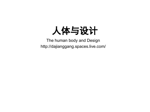 人体测量数据的尺寸