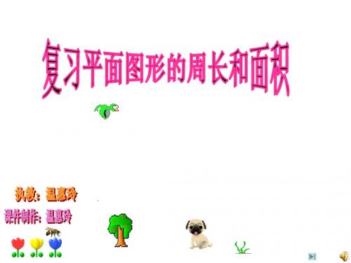 六年级数学平面图形面积的整理
