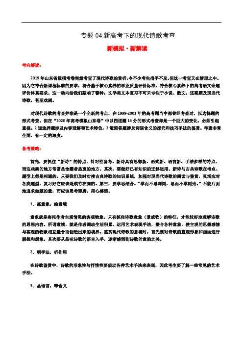 考向06 新高考下的现代诗歌考查(解析版)-2020年山东语文新高考新考向应对专练