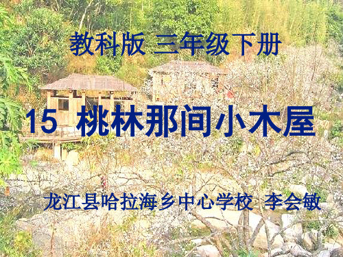 15桃林那间小木屋