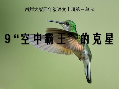 《“空中霸王”的克星》 精品PPT课件3(16张)