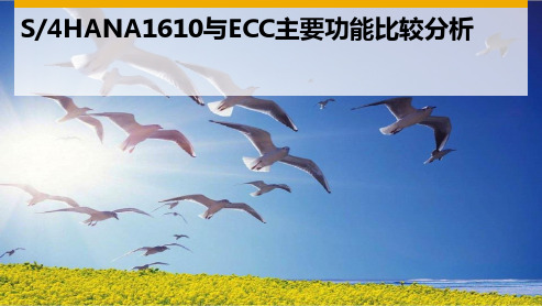 SAP S4HANA和ECC比较 V1.0(14页)