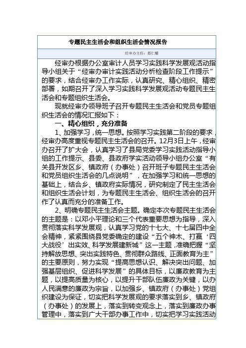 民主生活专题报告