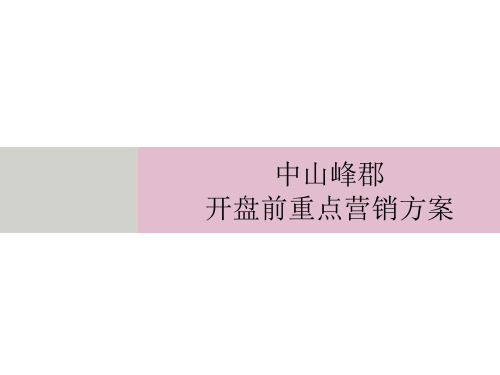 开盘前重点营销方案培训课件PPT(共 71张)